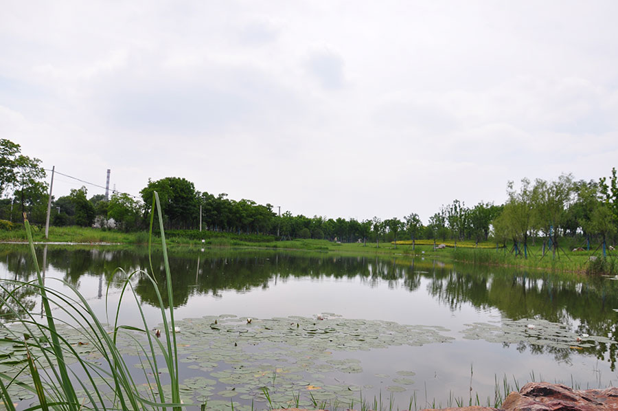 郊野公园(图1)