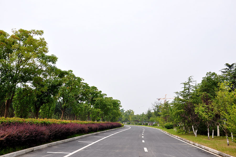 环湖北路 （包河大道-上海路）3标段(图1)