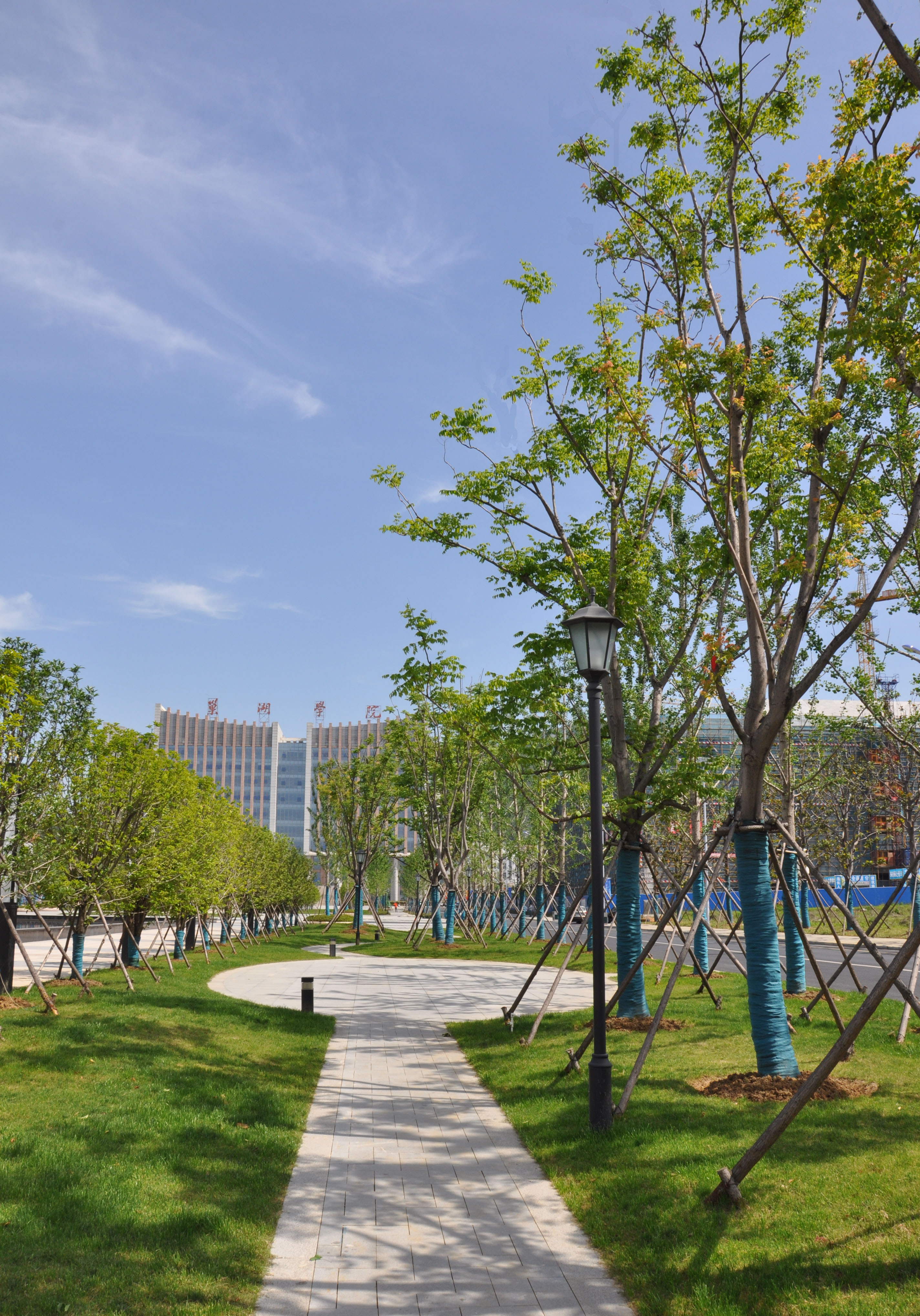 2017年巢湖学院门前道路施工项目(图4)