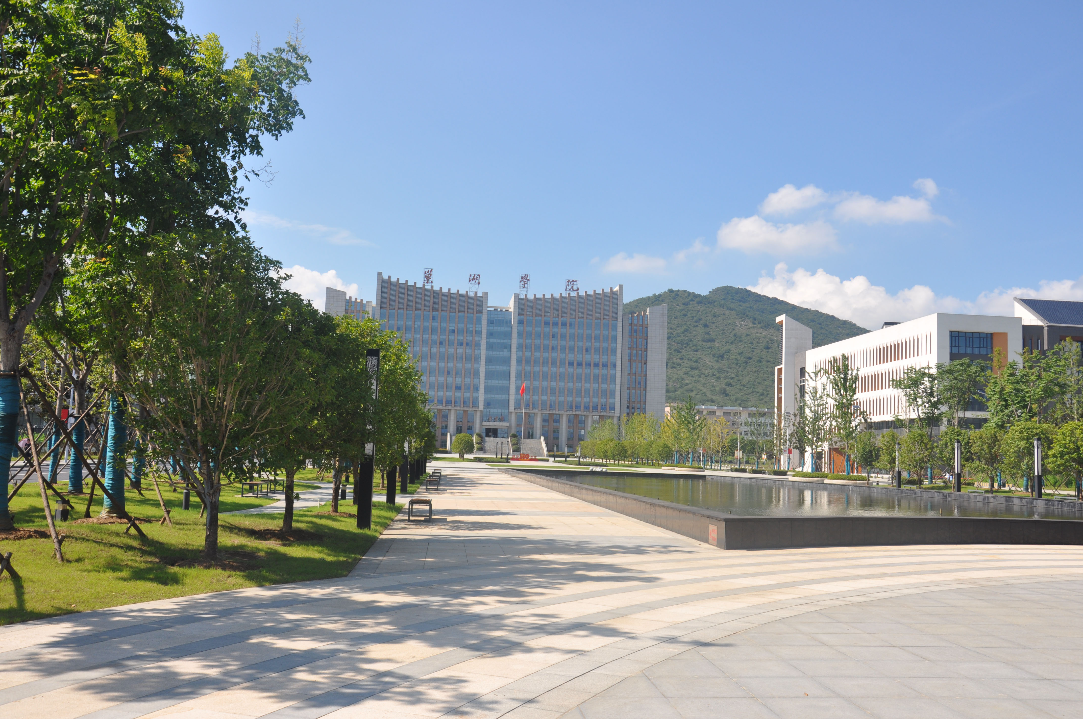 2017年巢湖学院门前道路施工项目(图2)