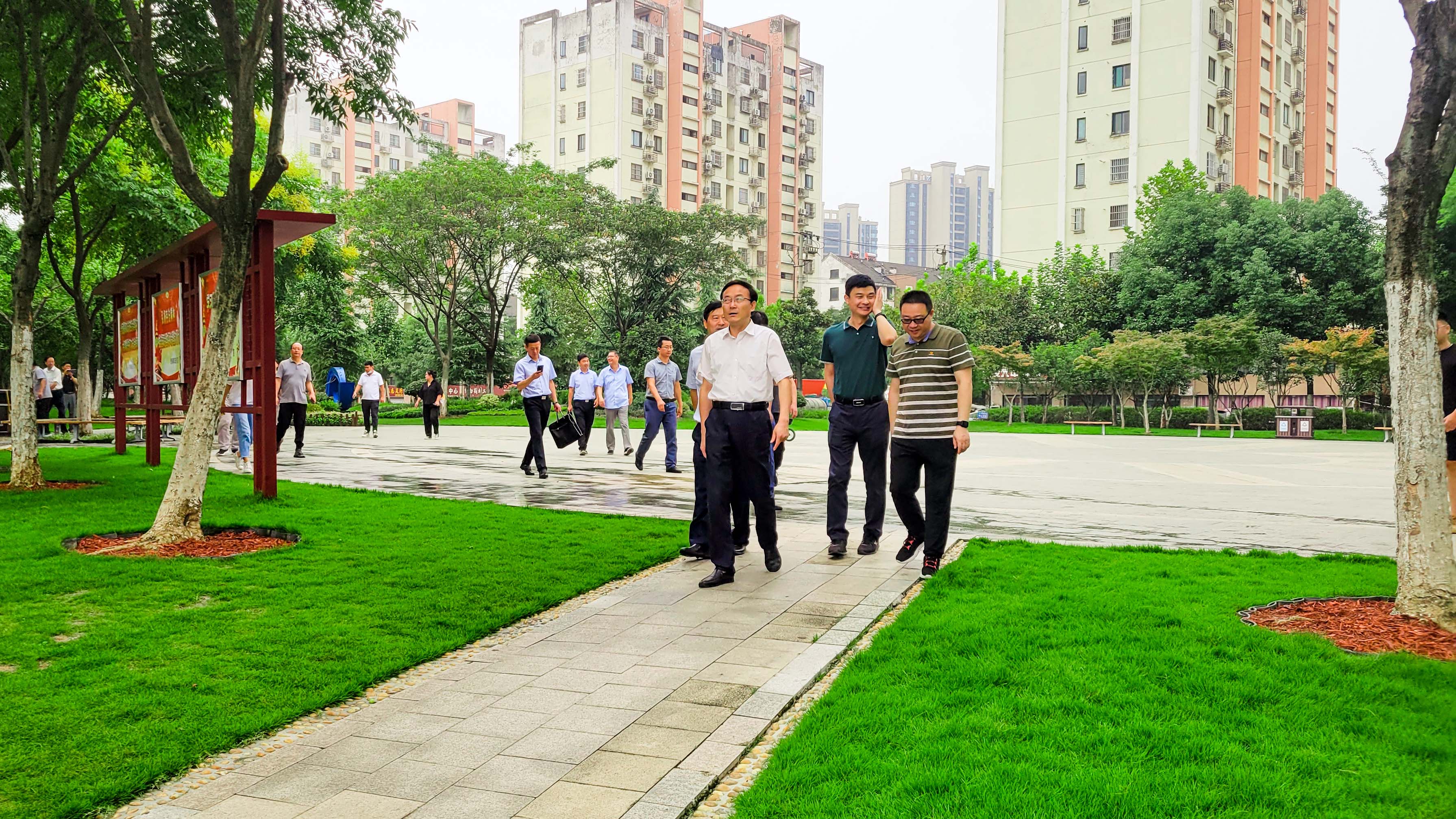 王民生副市长现场调度包河区林业园林工作(图1)